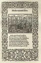 Medea ringiovanisce Eson, da 